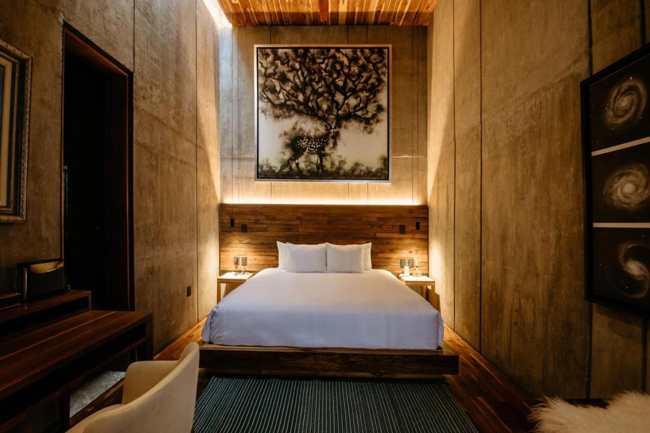 Flavia Hotel Oaxaca Bilik gambar
