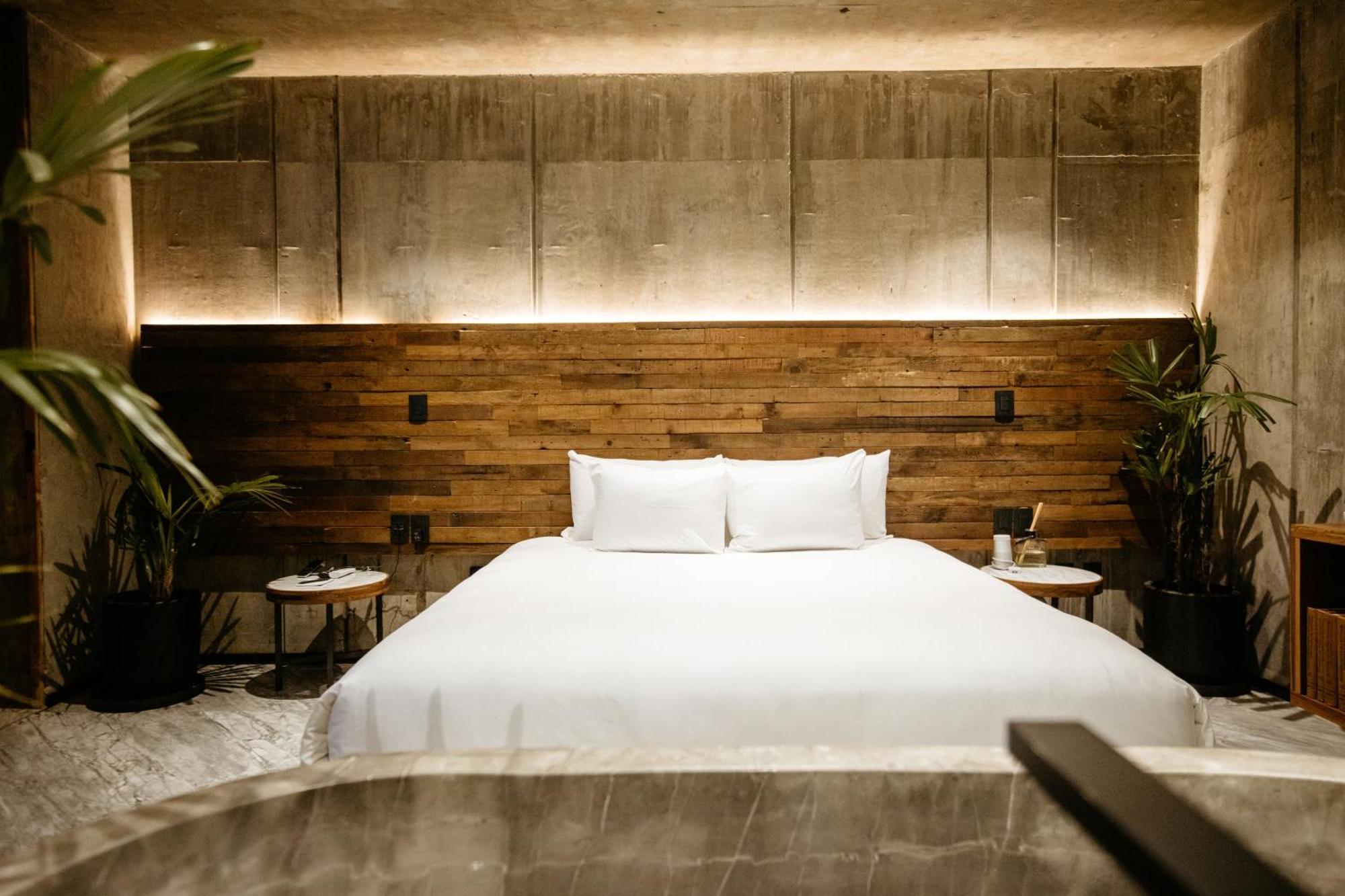 Flavia Hotel Oaxaca Bilik gambar