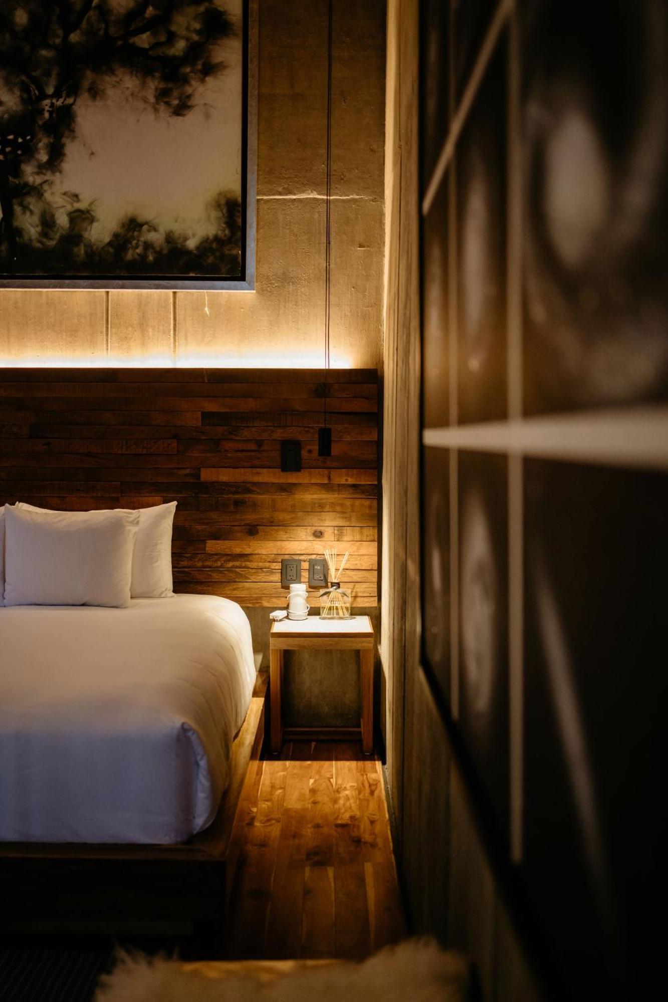 Flavia Hotel Oaxaca Bilik gambar
