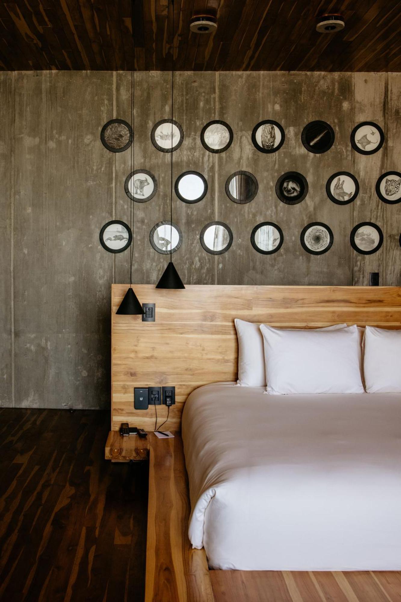 Flavia Hotel Oaxaca Bilik gambar