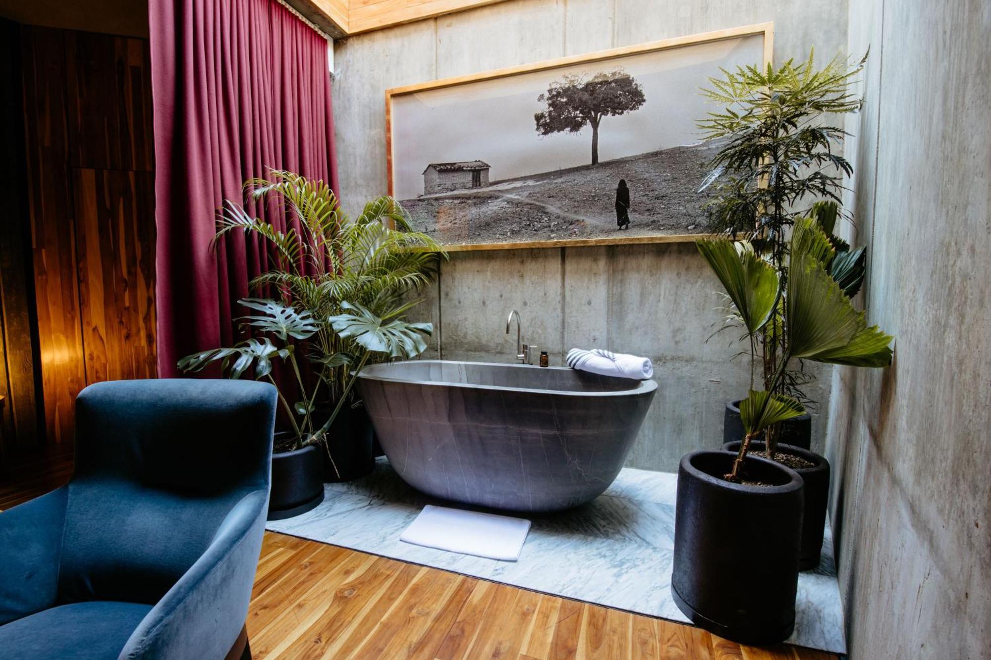 Flavia Hotel Oaxaca Bilik gambar